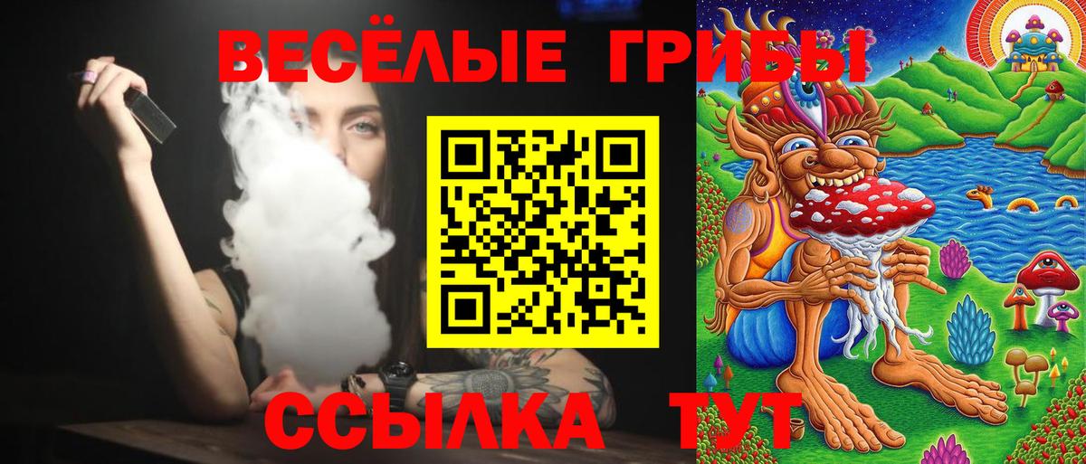 Псилоцибиновые грибы Cubensis Белая Калитва